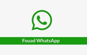 Download Fouad Whatsapp Apk Terbaru